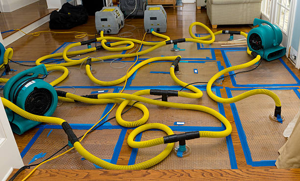 Professional Emergency Water Removal technician working in Osseo, MI