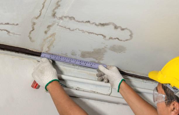 Affordable Water Damage Repair solutions in Osseo, MI